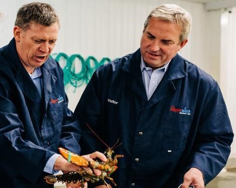 Quin-Sea Fisheries Opens First Live Lobster Facility in Newfoundland