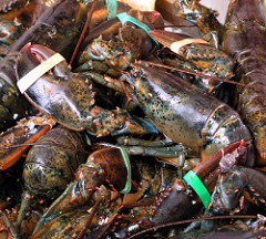 Vietnam Emerging as Potential Market for U.S. Lobster