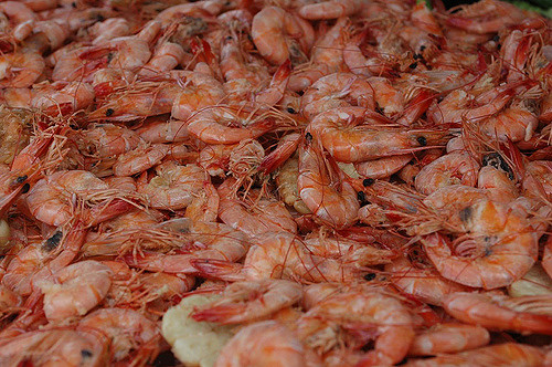Louisiana Shrimpers Applaud Tariffs on Chinese Shrimp; Want Them Applied Across the Board