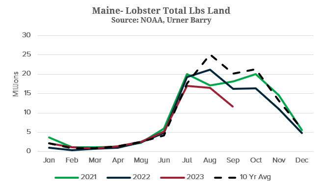 ANALYSIS: The Live Lobster Market Following Historical Behaviors: A Maine Update