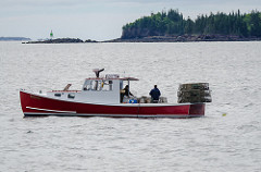Maine Lobster Dealers Say China is Inflating Prices