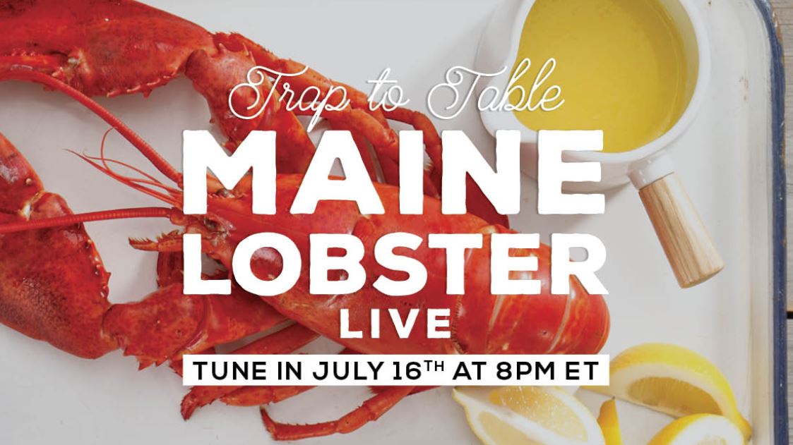 Watch the Maine Lobster Marketing Collaborative’s Trap to Table Live Event
