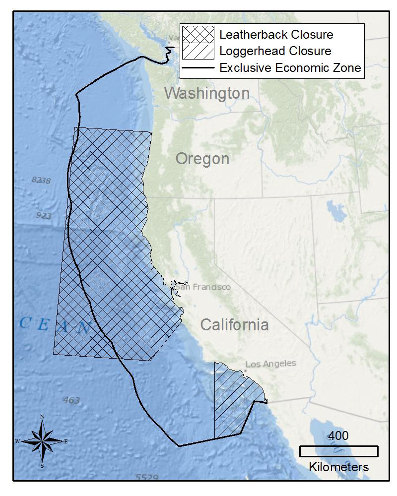 NMFS Closes Area in Southern California Bight For Large-Mesh Drift Gillnet Gear
