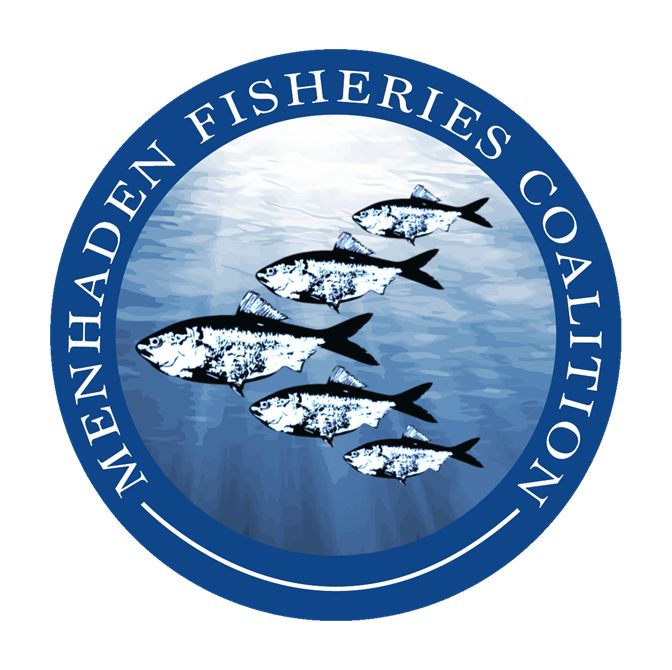 Menhaden Fisheries Coalition Applauds Science-Based Review of Chesapeake Bay Menhaden Harvest Cap