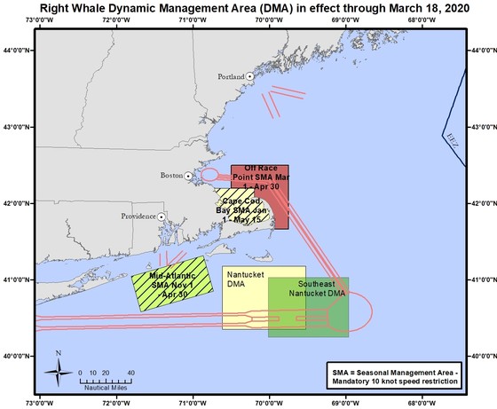 NOAA Implements and Expands Vessel Speed Restriction Zones to Protect Right Whales