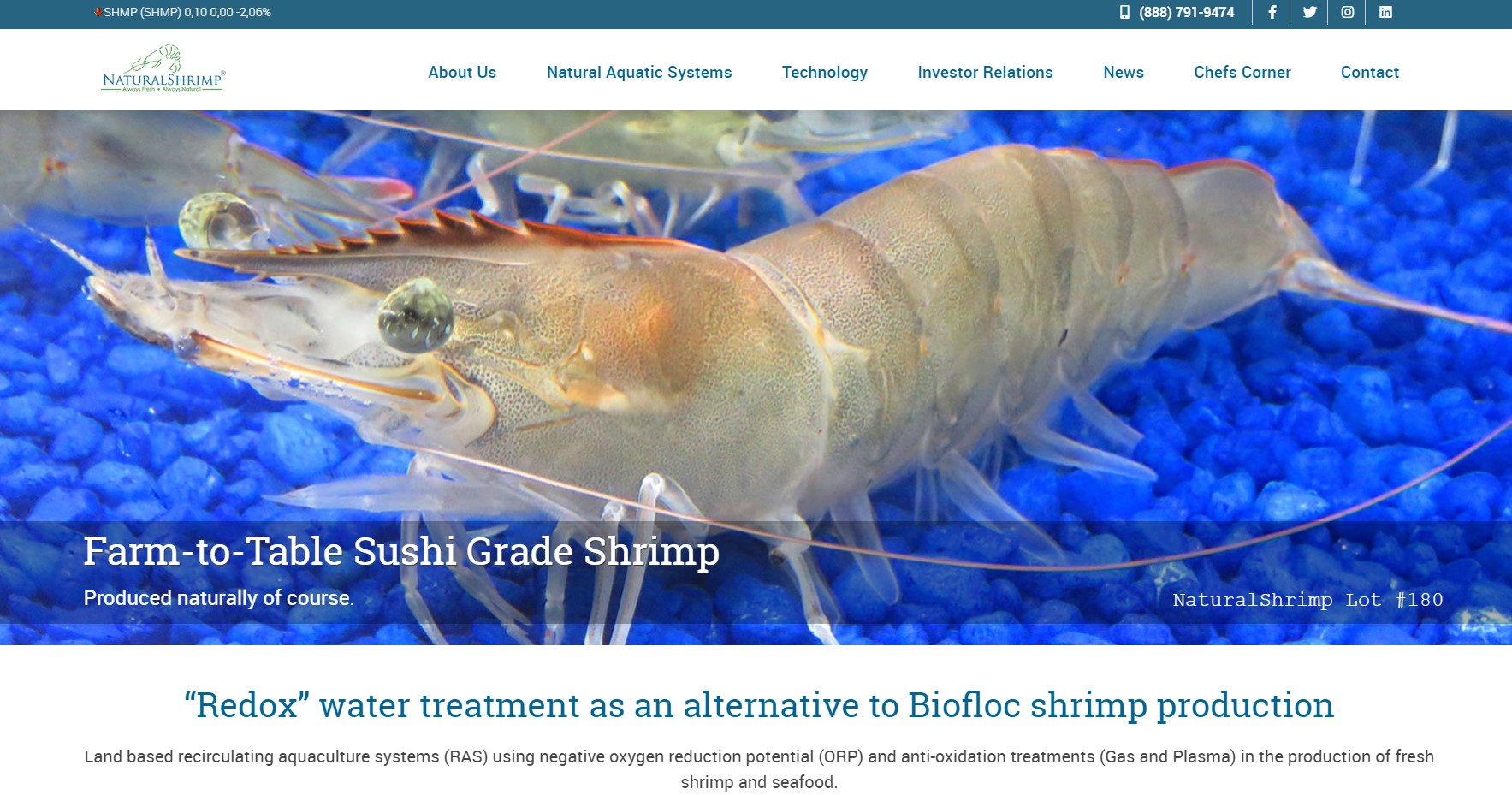 Texas Shrimp Producer NaturalShrimp Conducting Final Tests in Enclosed Salt Water Systems