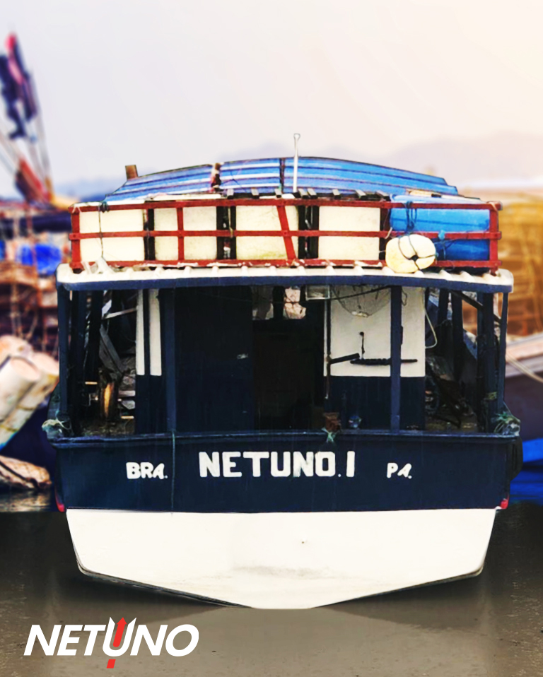 Netuno Acquires Five Snapper Fishing Boats in Northern Brazil