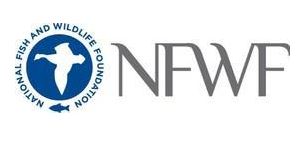 National Fish and Wildlife Foundation Announces Grants to Reduce Lost and Abandoned Fishing Gear