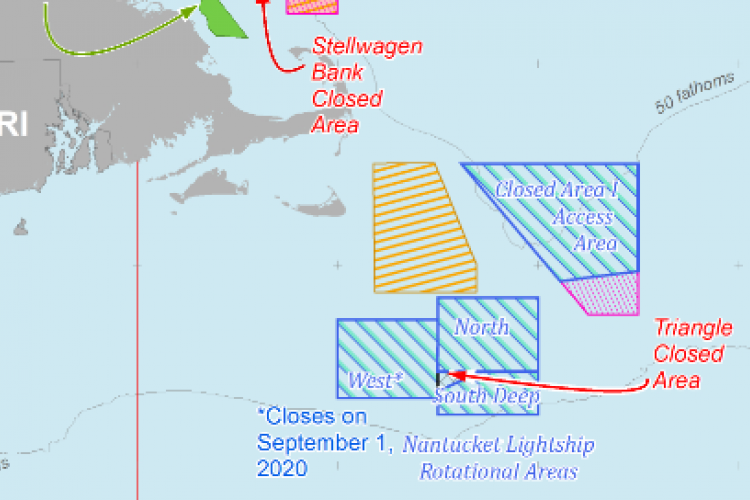 NOAA Closes Atlantic Sea Scallop Closed Access Area