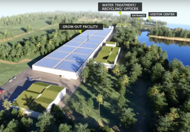 New Video Previews Nordic Aquafarm’s Belfast Facility