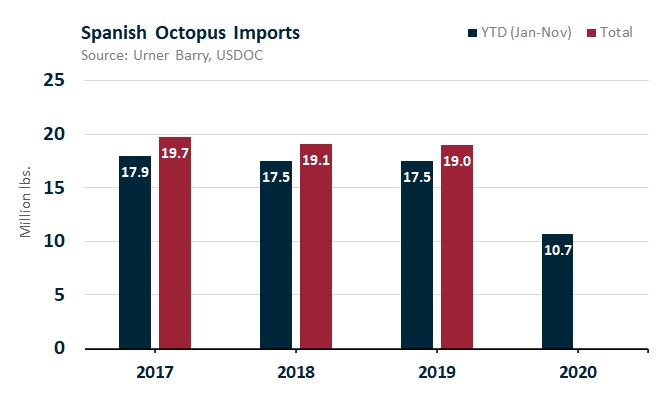 ANALYSIS: Spanish Octopus Prices on the Rise Despite Foodservice Fallout
