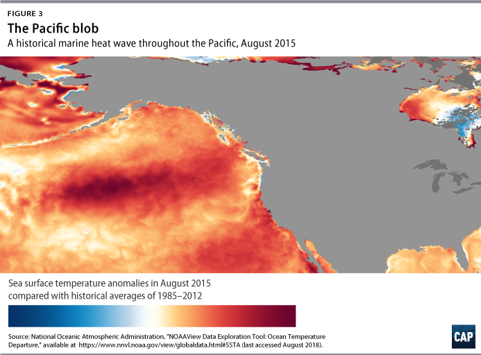 Impacts of the Blob: West Coast Fishermen Now Live with Heightened Uncertainty