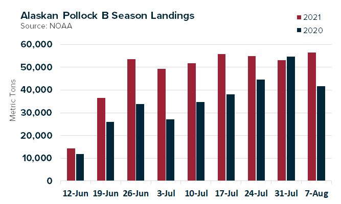 ANALYSIS: Pollock Landings Improving, Industry Still Playing Catch Up