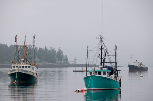 Market Grows for Community Supported Fisheries Bringing Expanded Benefits to Fishermen