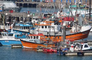 UK Government Expands Seafood Response Fund Following Post-Brexit Export Troubles