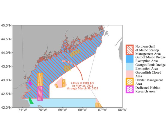 NOAA Announces Closure of Northern Gulf of Maine Scallop Management Area