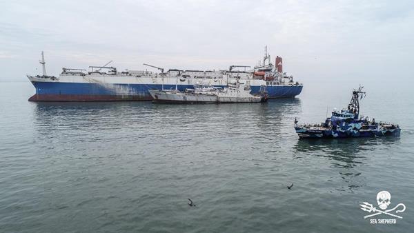 World’s Largest Fish Factory Vessel Arrested and Seized in Peru Pending Criminal Charges
