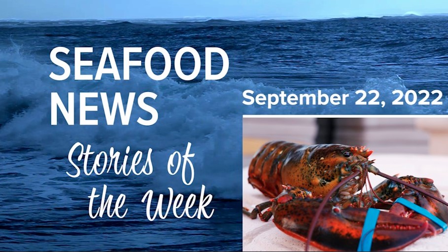 VIDEO: Maines Open Letter to Lobster Retailers; Gortons Lawsuit Dismissed; Mind Blown Kelp Collab