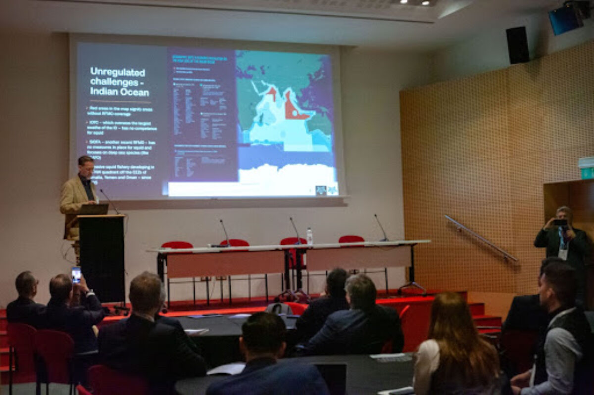 Squid Buyers, Importers Assess IUU Squid Products Entering EU Market at Seafood Expo Global