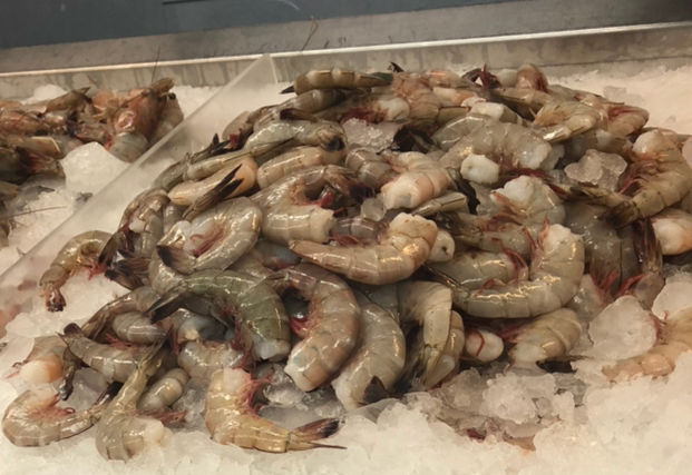 NFI Reopens 3-Day Shrimp School Education Program This Fall