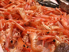 Shrimp Exporters Find Optimism in Chinese Market Due to Several Changes