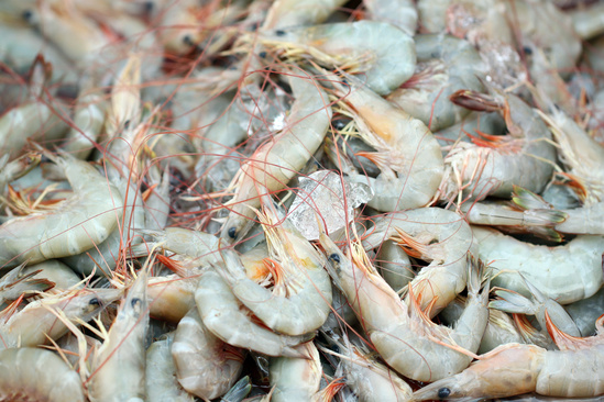 NOAA Seeking Public Comment on Proposed Traceability Program for U.S. Farmed Shrimp, Abalone
