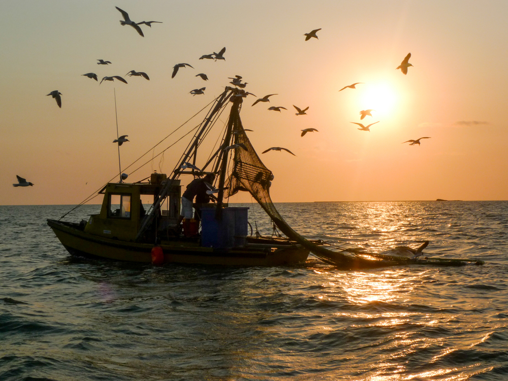 “We’d Be Done For:” North Carolina Fishermen Speak Out on Impact of Trawling Ban on the Industry