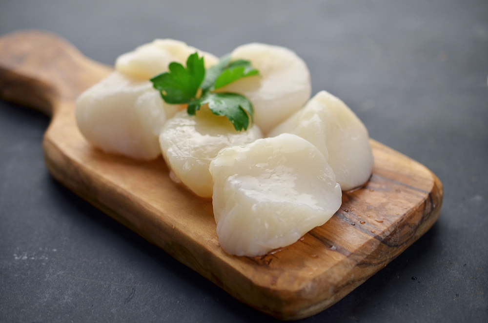 Japan: Bid Price for Whole Scallops Rise in Hokkaido Led by Chinese Demand
