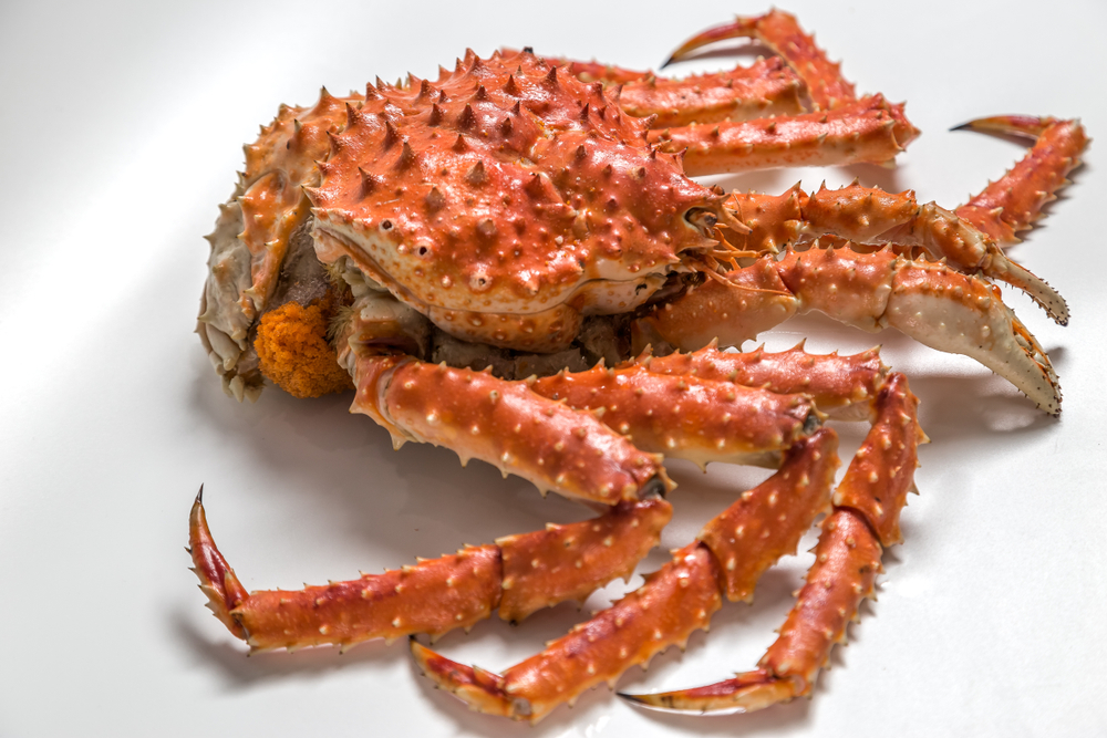 Crustacean Boom: Mid-Year Market Trends of King and Snow Crab