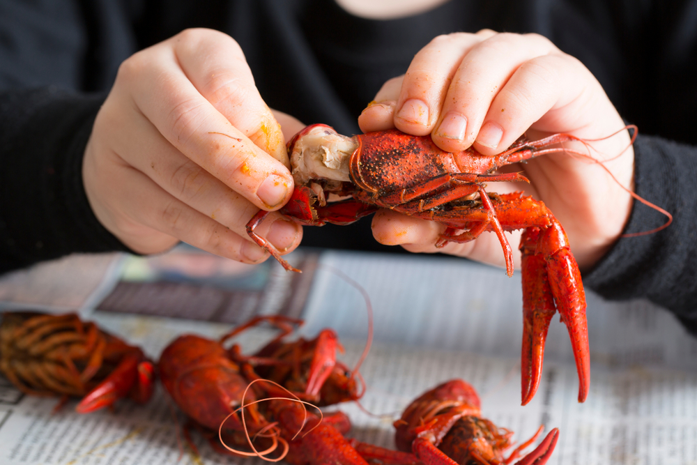 Senators Battle for Louisiana Crawfish Industry