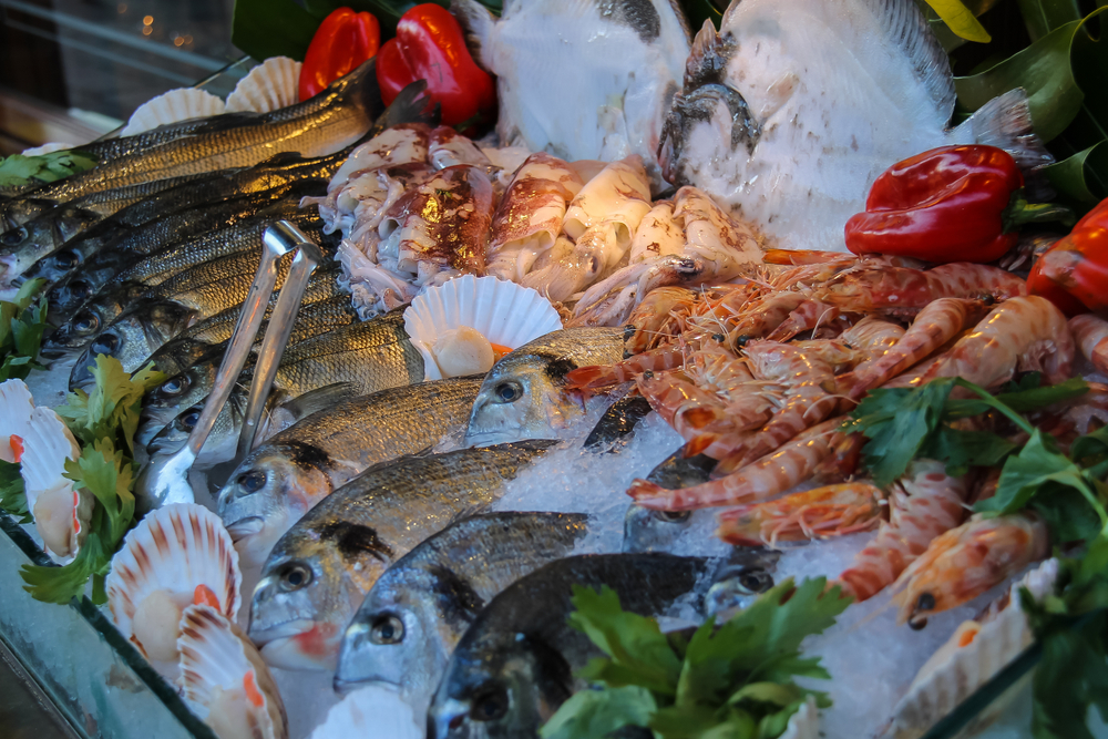 CSI Launches Partner Program to Elevate Certified Seafood in Global Markets