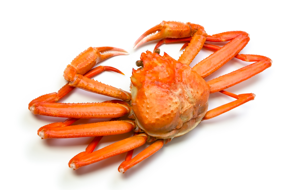 FFAW Releases Update on 3L Inshore Snow Crab Harvest