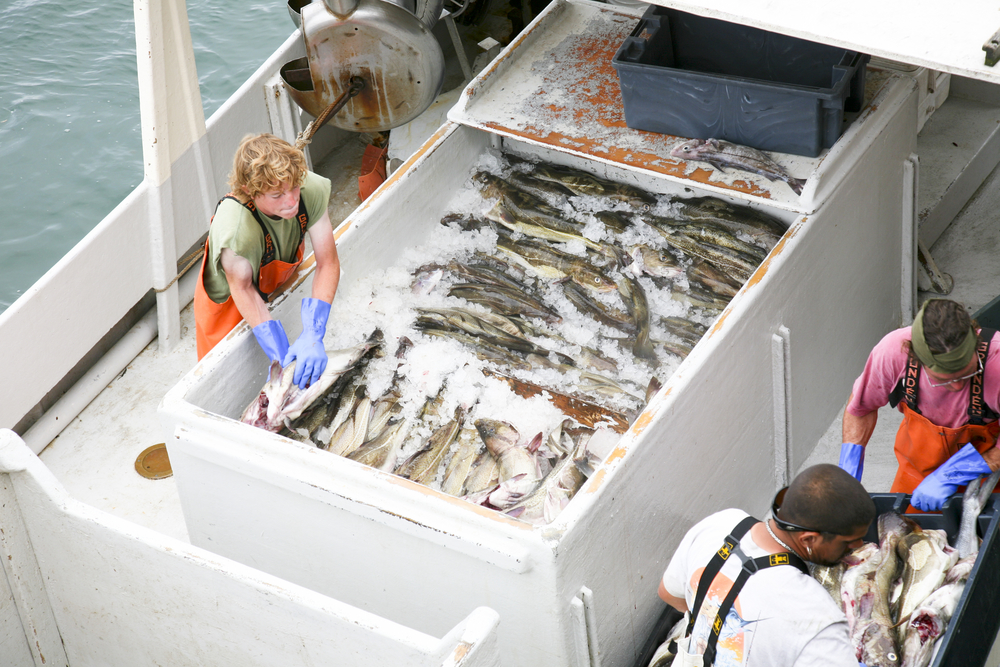 Federal Appeals Court Urged to Reel in Fishing Monitor Rules