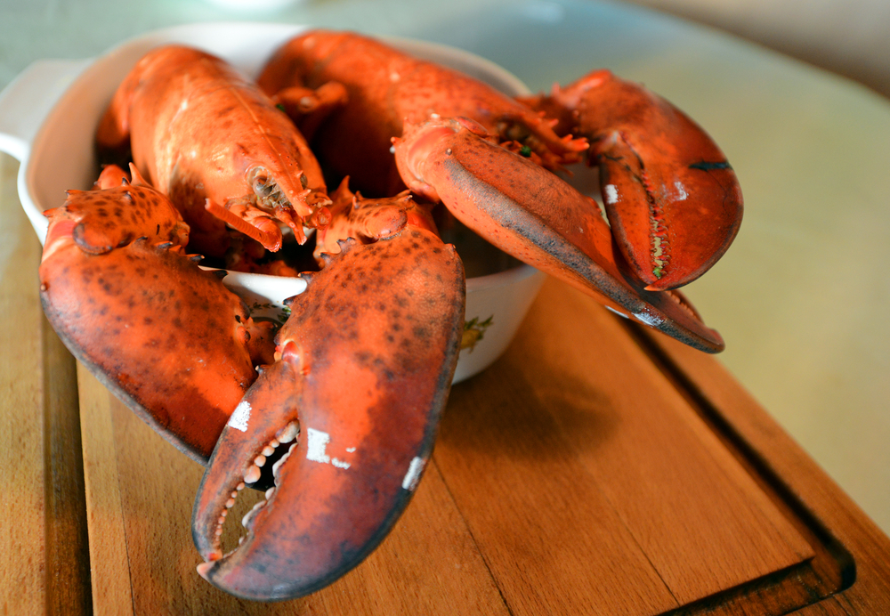 Charges Against Alleged Clare Crime Group Important to Integrity of Lobster Fishery, Says NS MP