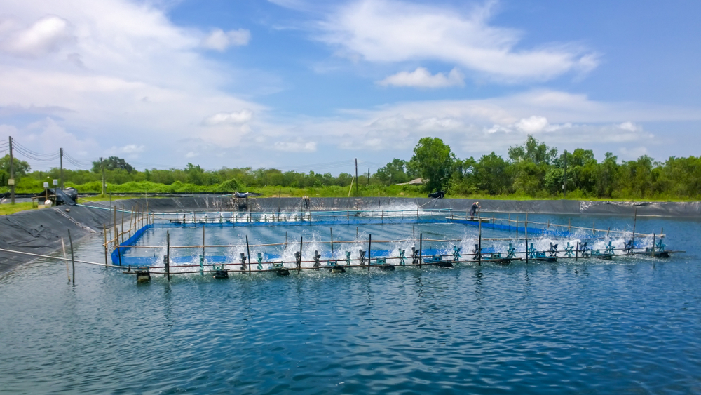 Vietnam: Shift Quickens to High-tech Aquaculture