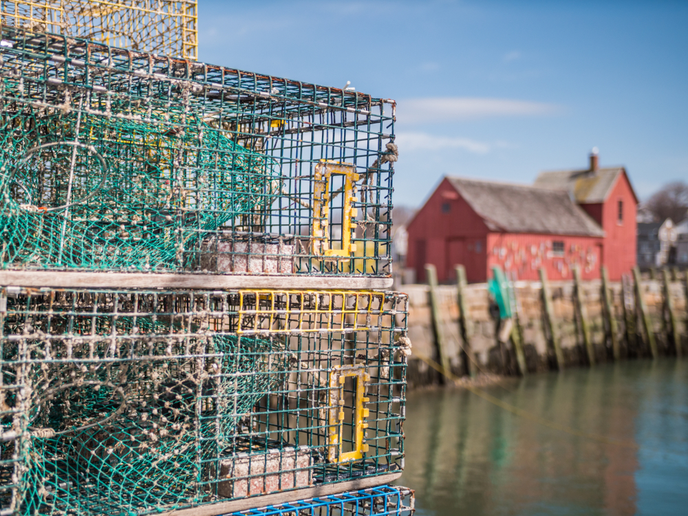 Newly Introduced CLAW Act Aims to Offset Costs of Newly Required Lobster Equipment