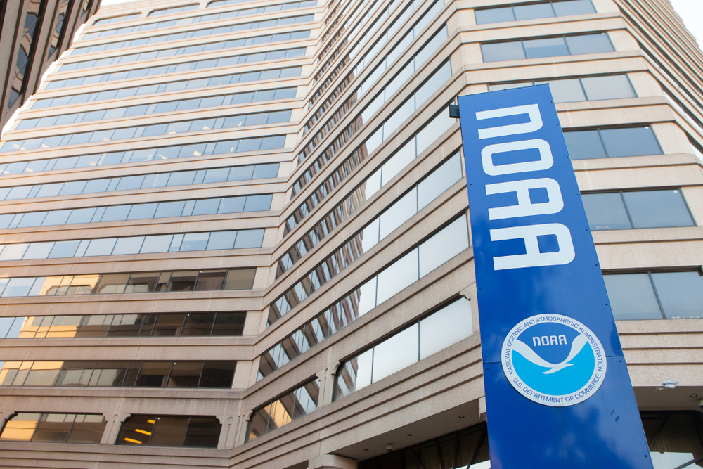 The Winding Glass: Destruction of NMFS Cancels Trump’s Order Supporting American Fisheries