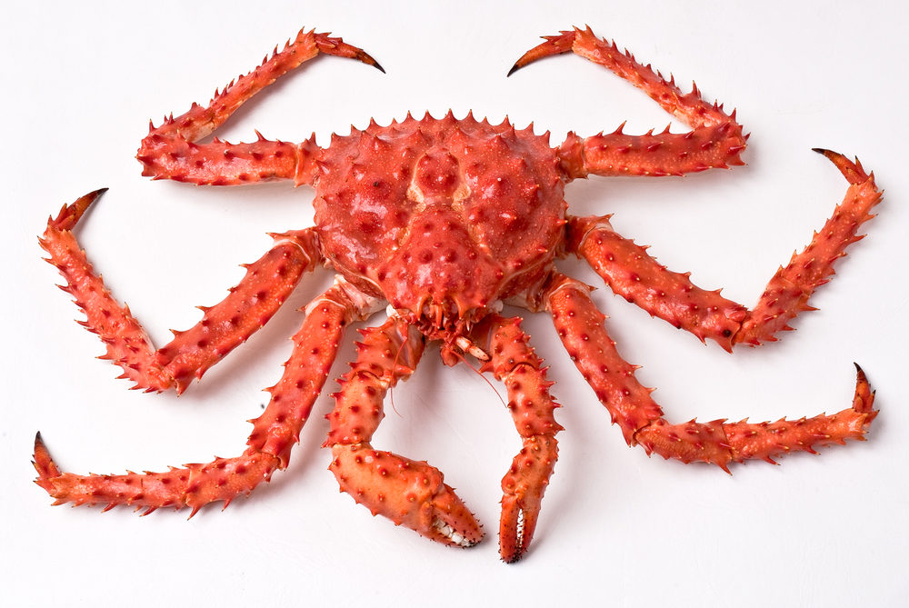 Chilean Government Expects Sanctions in Case of Collusion of Crab Processors Denounced by the FNE