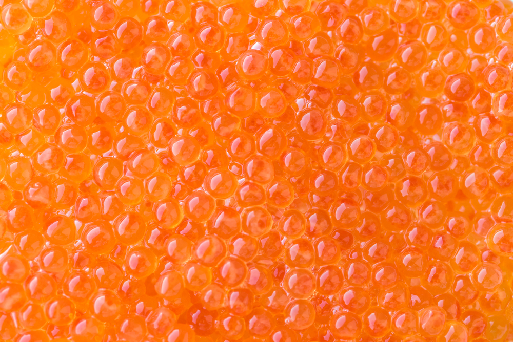 Alaska Anticipates Limited Salted Salmon Roe Production and Air Freight to Japan