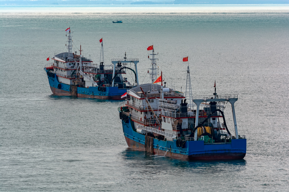 China and South Korea Push European Vessels Out of the Atlantic and Take the Best Fishing Grounds