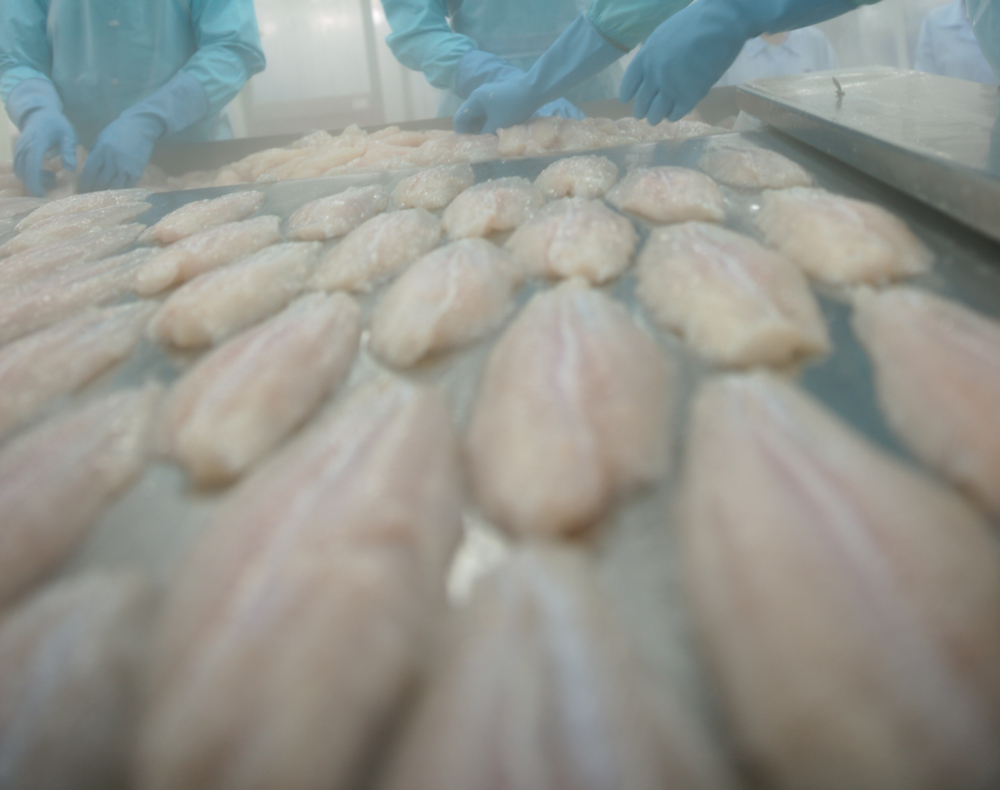 Vietnamese Seafood Exporters Rush to Beat US Tariff Deadline