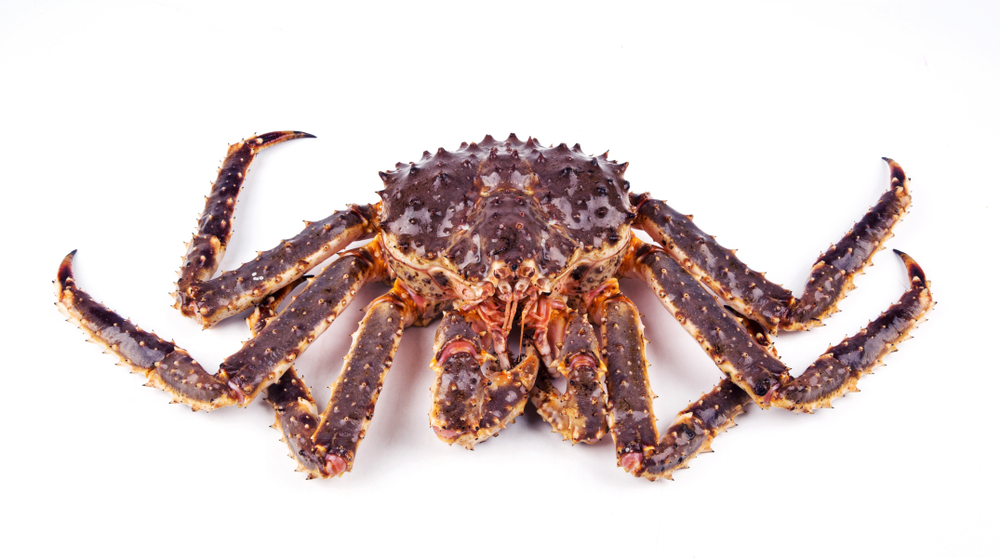 China Buys More King Crabs This Year
