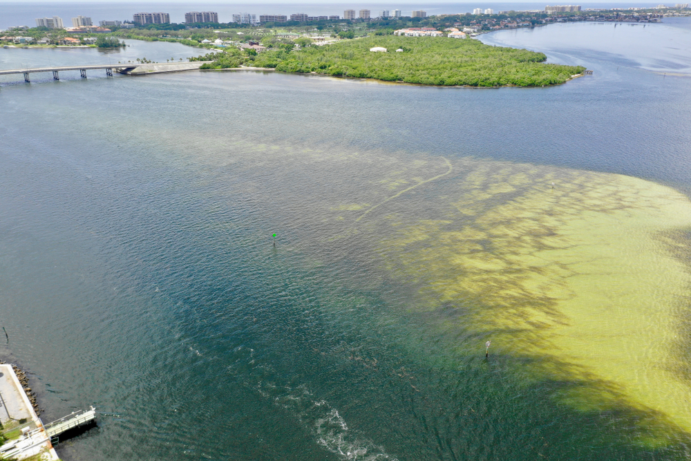 NOAA Cuts Could Harm Southwest Florida Fishing Economy, Threaten Red Tide Research