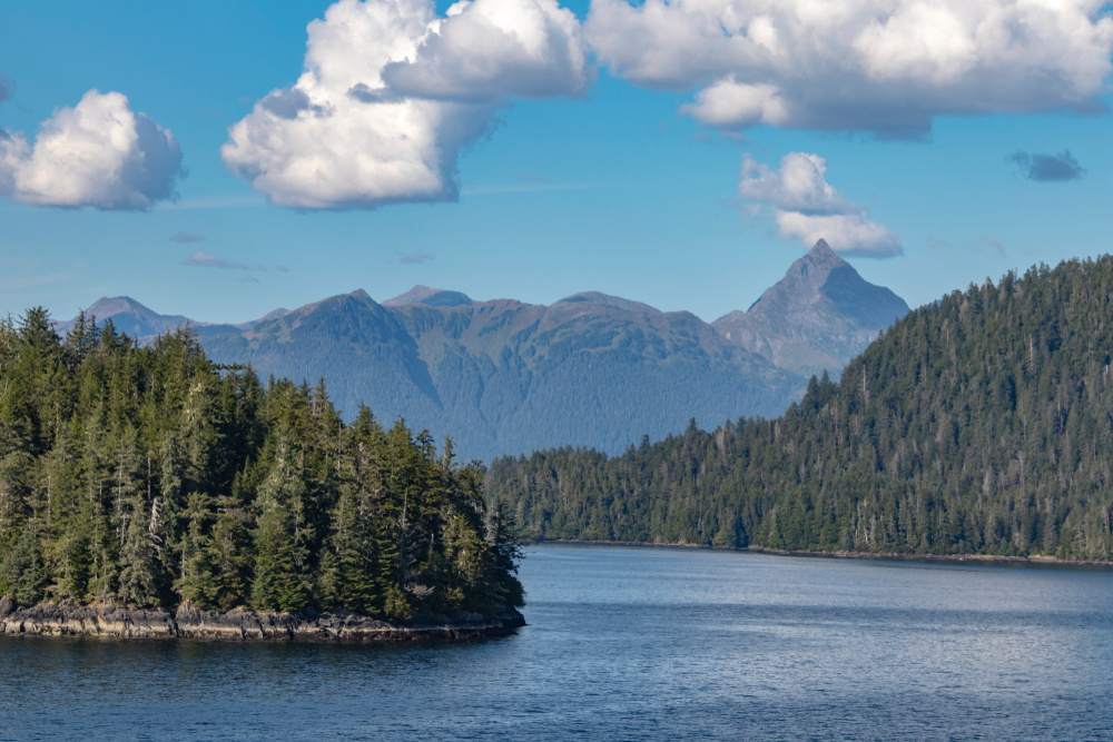 Trump Administration Cuts Endanger Critical Science Programs in Alaska, Researchers Say