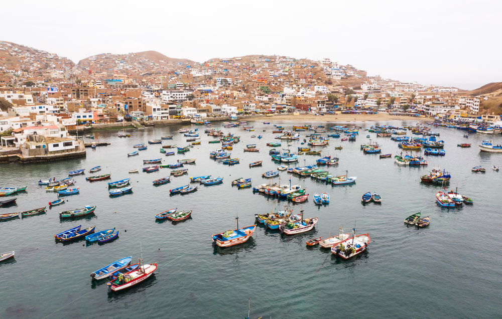 Perus Anchovy Season Faces Quota Fulfillment Risk as Juvenile Catches Disrupt Operations
