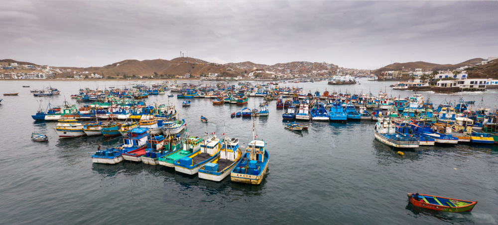 ANALYSIS: Anchovy Catch Reaches 96.5% of Quota as Peru Closes Second Season