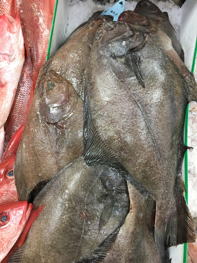 Spex Flex: Pacific Fishery Management Council Faces Uncertainty Brought by Climate Change — Part 3