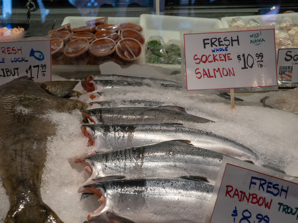 UW-FRI Early Advisory Projects 44.2 Million Sockeye for 2027 Bristol Bay Run