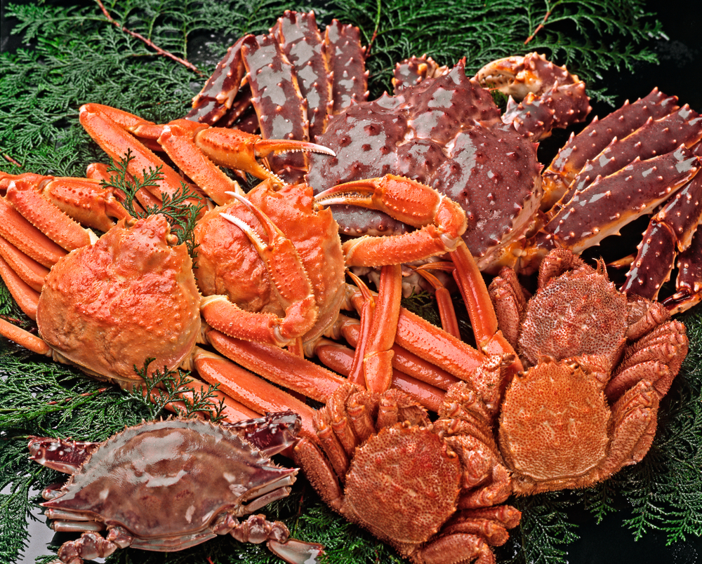 GSMC 2025: A Look at Crab Market Narratives Including Tariffs, Russia and Supply