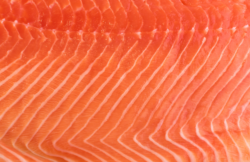 Måsøval Confirms Sale of Salmon “Not Suitable For Human Consumption” By Pure Norwegian Seafood